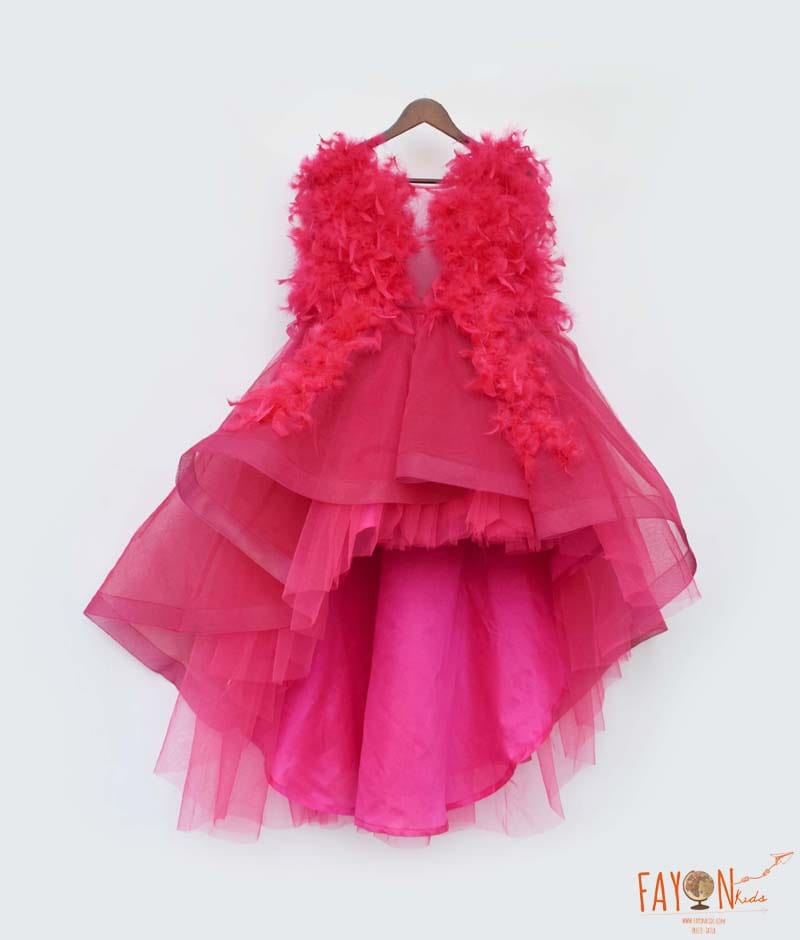 Manufactured by FAYON KIDS (Noida, U.P) Pink Net Frock with feathers for Girls