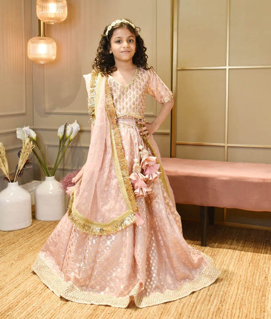 Manufactured by FAYON KIDS (Noida, U.P) Rose Pink Chanderi Lehenga Choli for Girls